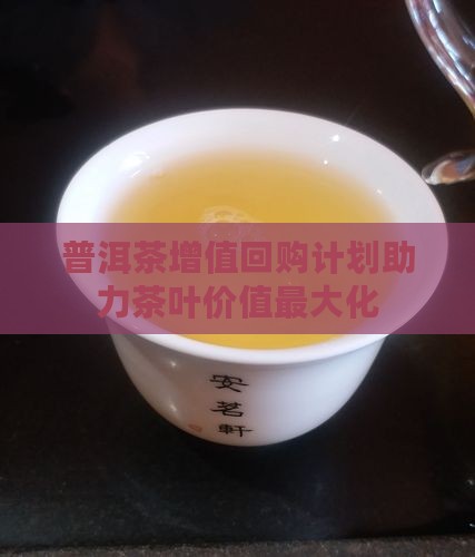 普洱茶增值回购计划助力茶叶价值更大化