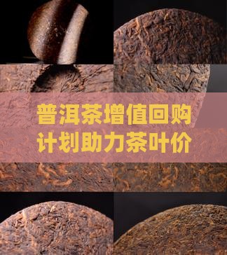 普洱茶增值回购计划助力茶叶价值更大化(图2)